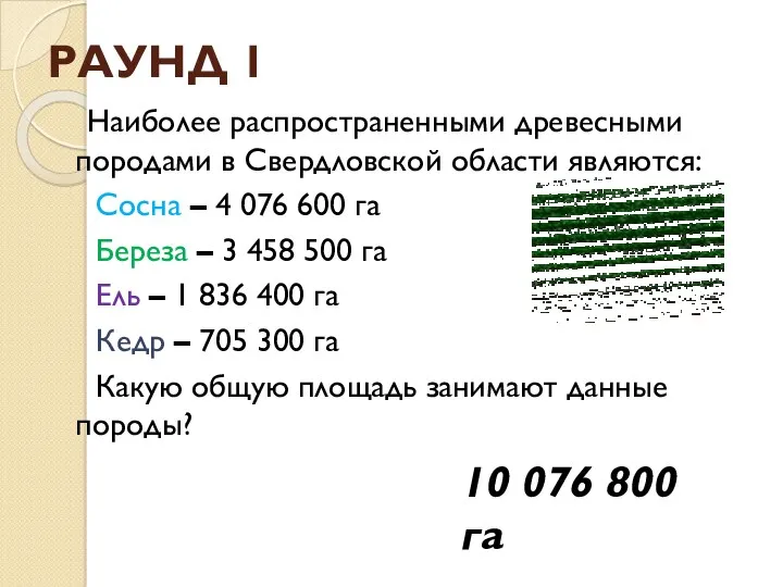 РАУНД 1 Наиболее распространенными древесными породами в Свердловской области являются: