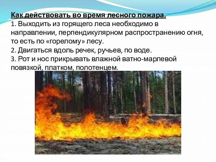 Как действовать во время лесного пожара. 1. Выходить из горящего леса необходимо в