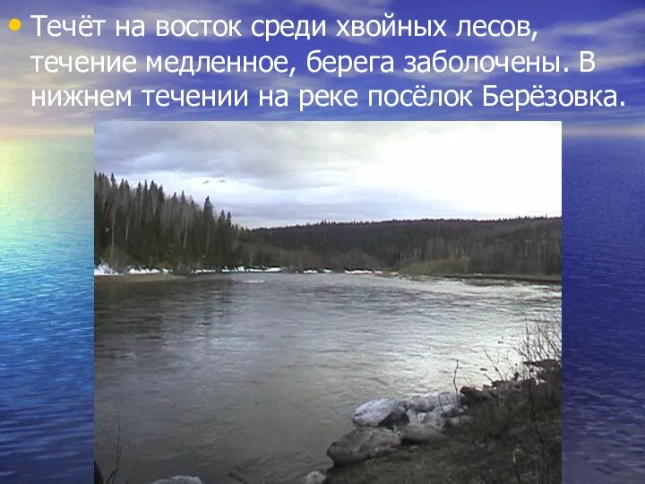 Течёт на восток среди хвойных лесов, течение медленное, берега заболочены.