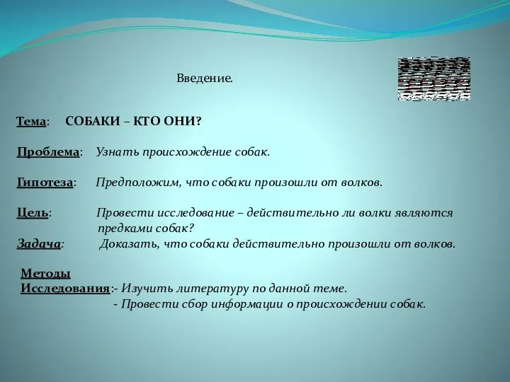 Введение. Тема: СОБАКИ – КТО ОНИ? Проблема: Узнать происхождение собак.