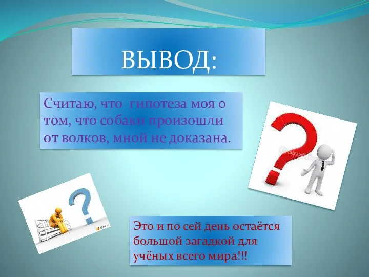 ВЫВОД: Считаю, что гипотеза моя о том, что собаки произошли