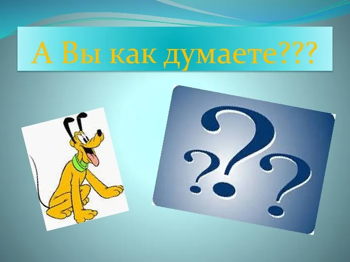 А Вы как думаете???