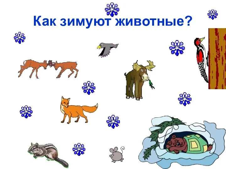 Как зимуют животные?