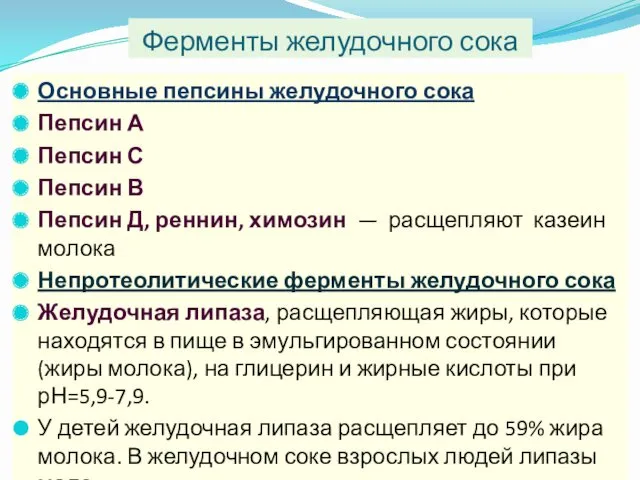 Ферменты желудочного сока Основные пепсины желудочного сока Пепсин А Пепсин