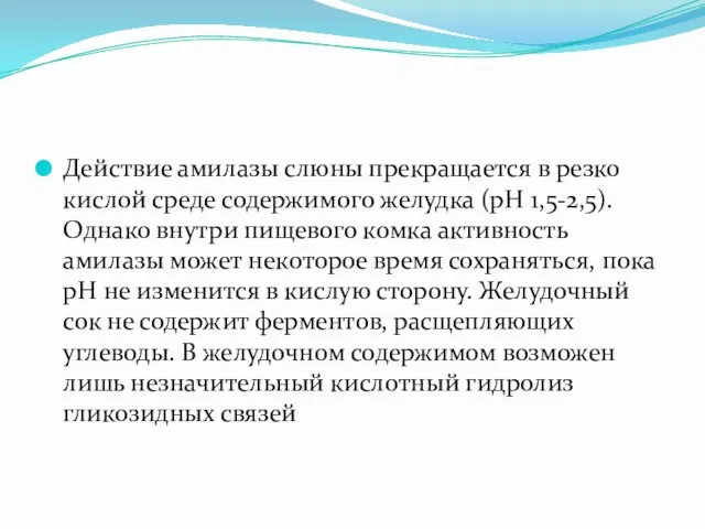 Действие амилазы слюны прекращается в резко кислой среде содержимого желудка