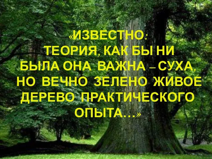 «ИЗВЕСТНО: ТЕОРИЯ, КАК БЫ НИ БЫЛА ОНА ВАЖНА – СУХА,