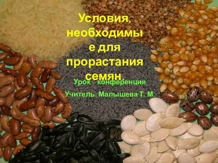 Условия, необходимые для прорастания семян. Урок – конференция Учитель: Малышева Т. М.