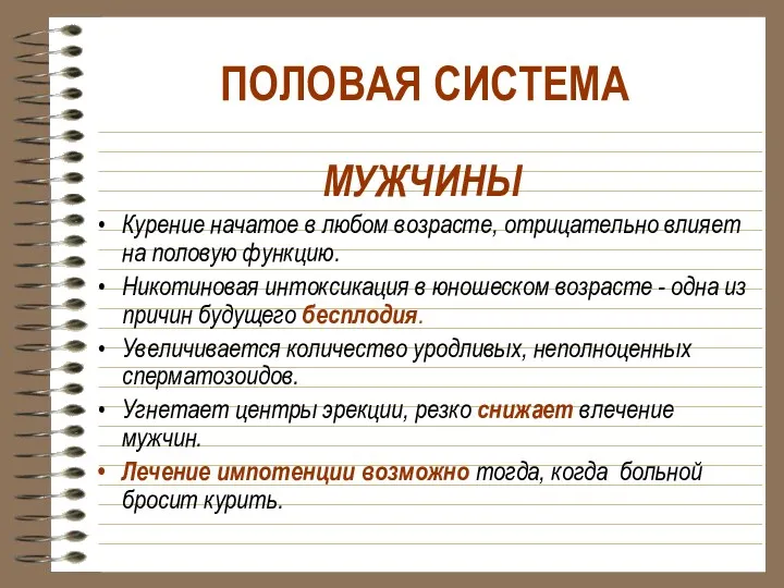 ПОЛОВАЯ СИСТЕМА МУЖЧИНЫ Курение начатое в любом возрасте, отрицательно влияет на половую функцию.