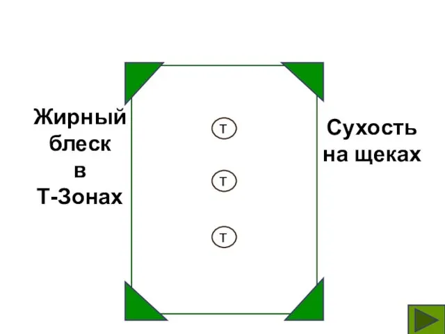 Жирный блеск в Т-Зонах Сухость на щеках