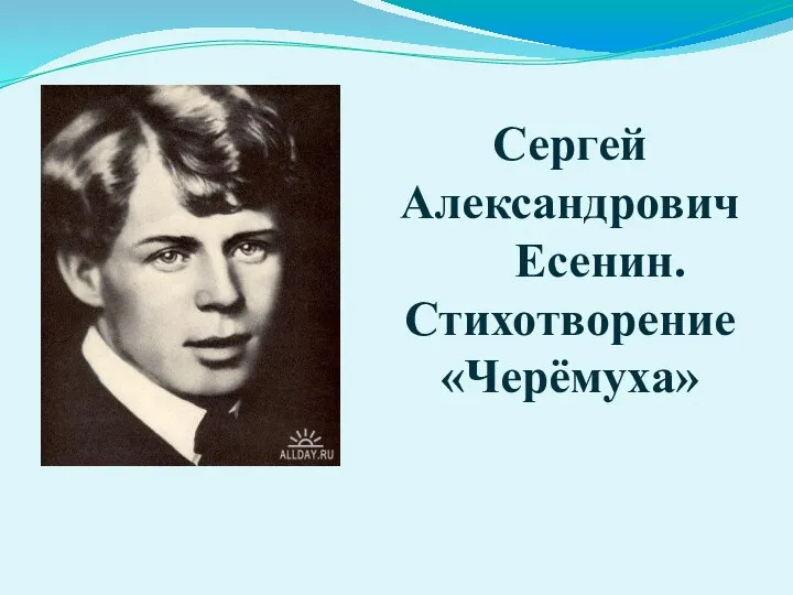 Сергей Александрович Есенин. Стихотворение «Черёмуха»