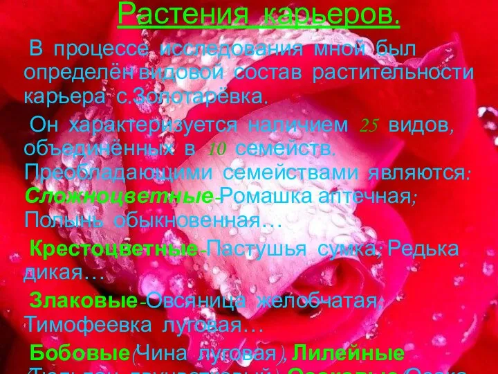 Растения карьеров. В процессе исследования мной был определён видовой состав