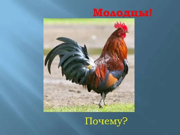 Молодцы! Почему?