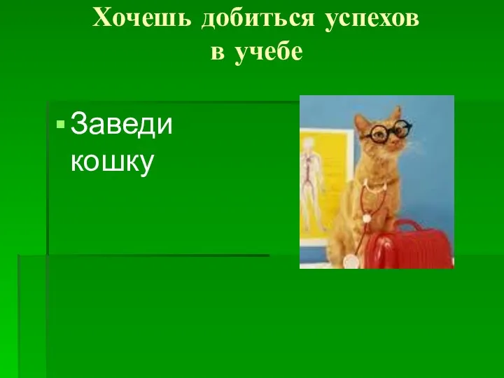 Хочешь добиться успехов в учебе Заведи кошку