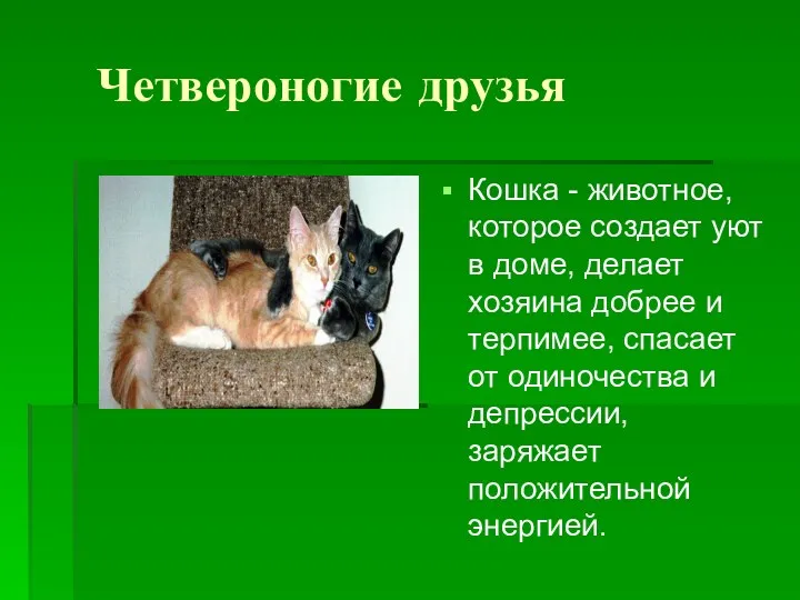 Четвероногие друзья Кошка - животное, которое создает уют в доме,