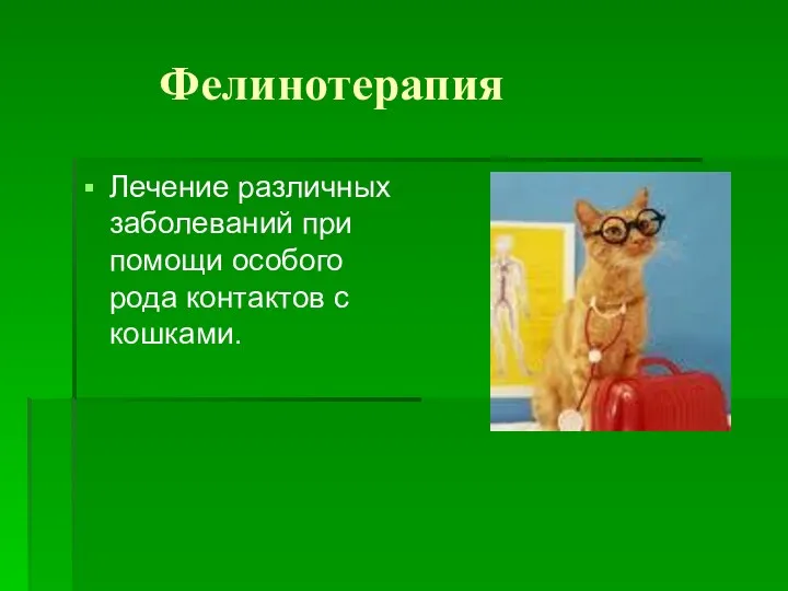 Фелинотерапия Лечение различных заболеваний при помощи особого рода контактов с кошками.