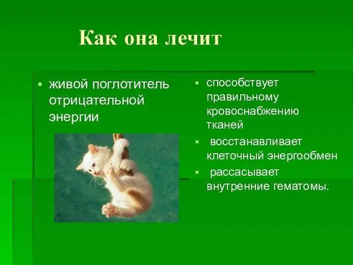 Как она лечит живой поглотитель отрицательной энергии способствует правильному кровоснабжению