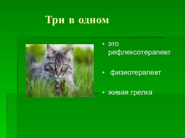 Три в одном это рефлексотерапевт физиотерапевт живая грелка