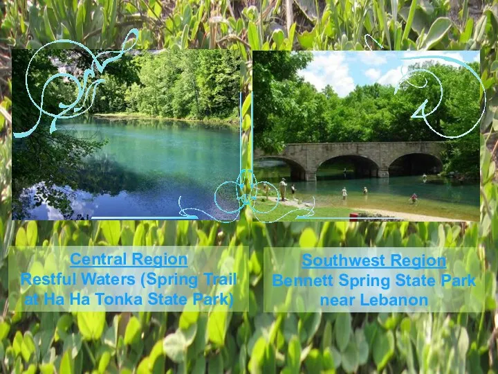 Central Region Restful Waters (Spring Trail at Ha Ha Tonka State Park) Southwest