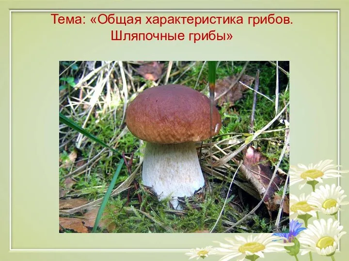 Тема: «Общая характеристика грибов. Шляпочные грибы»