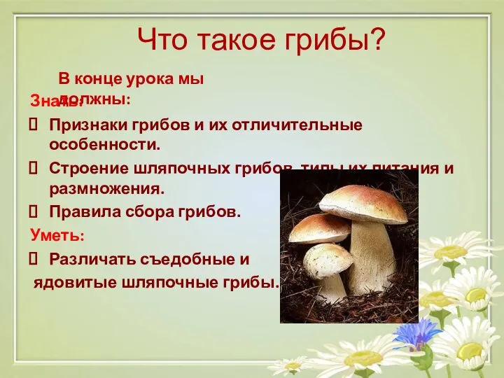 Что такое грибы? Знать: Признаки грибов и их отличительные особенности.