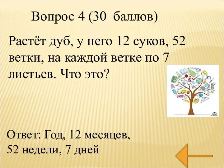 Растёт дуб, у него 12 суков, 52 ветки, на каждой