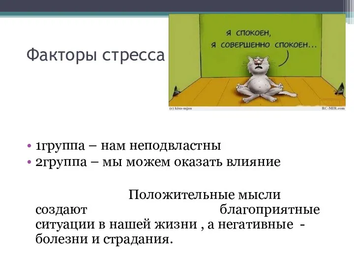 Факторы стресса 1группа – нам неподвластны 2группа – мы можем