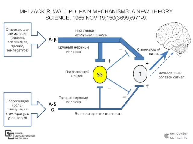 MELZACK R, WALL PD. PAIN MECHANISMS: A NEW THEORY. SCIENCE. 1965 NOV 19;150(3699):971-9.