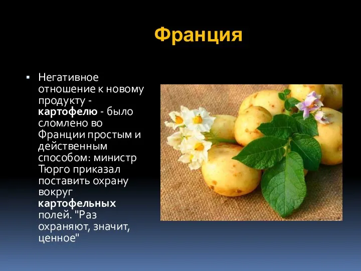 Франция Негативное отношение к новому продукту - картофелю - было сломлено во Франции