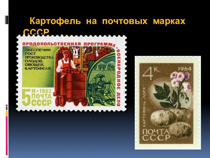 Картофель на почтовых марках СССР
