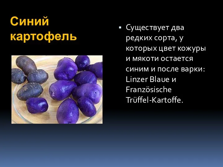 Синий картофель Существует два редких сорта, у которых цвет кожуры и мякоти остается