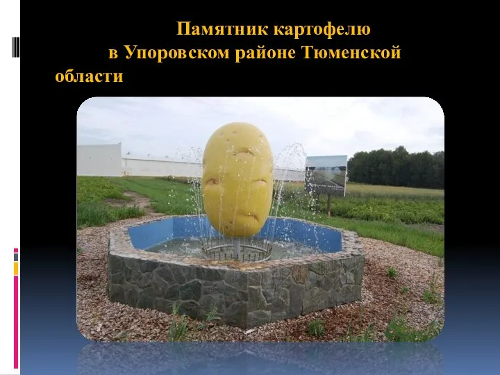Памятник картофелю в Упоровском районе Тюменской области