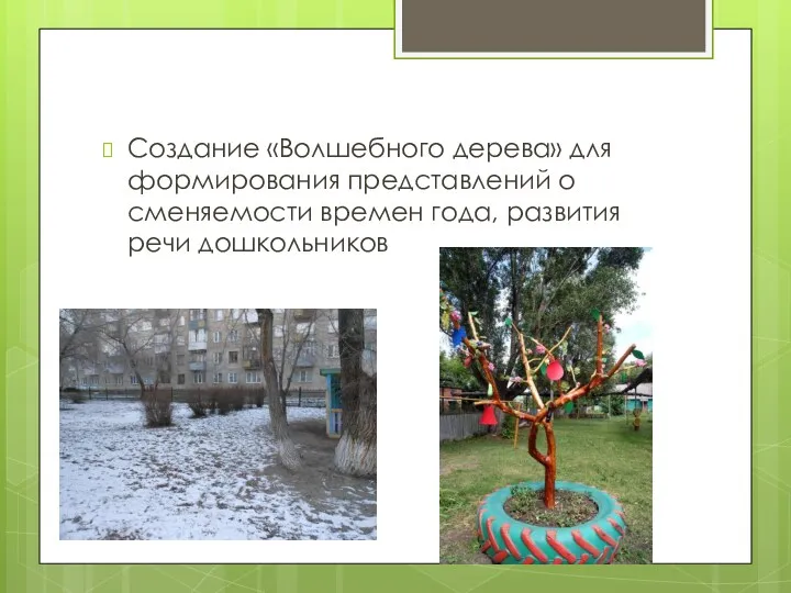 Создание «Волшебного дерева» для формирования представлений о сменяемости времен года, развития речи дошкольников