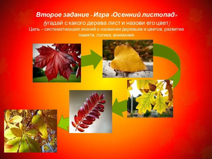 Второе задание - Игра «Осенний листопад» (угадай с какого дерева