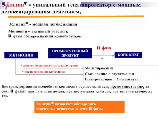 Эслидин® - уникальный гепатопротектор с мощным детоксицирующим действием. Эслидин® -