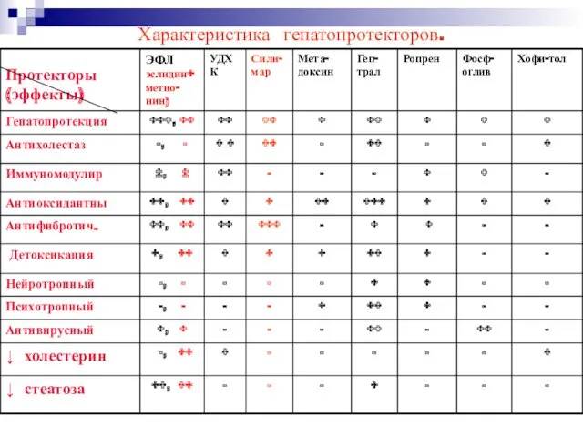 Характеристика гепатопротекторов.