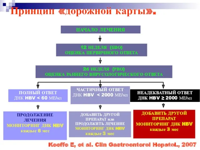 Принцип «дорожной карты». Keeffe E, et al. Clin Gastroenterol Hepatol.,