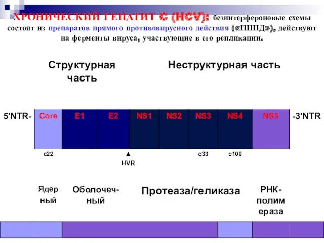 ХРОНИЧЕСКИЙ ГЕПАТИТ C (HCV): безинтерфероновые схемы состоят из препаратов прямого