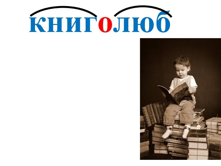 книголюб