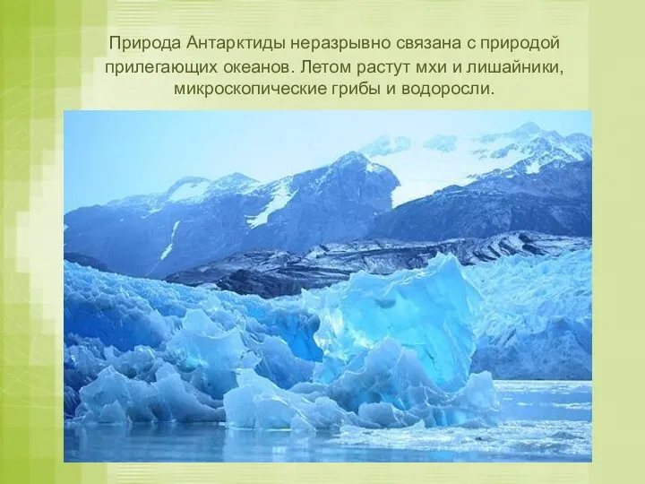 Природа Антарктиды неразрывно связана с природой прилегающих океанов. Летом растут мхи и лишайники,