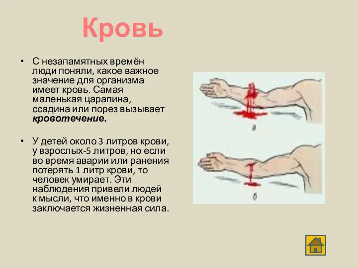 С незапамятных времён люди поняли, какое важное значение для организма