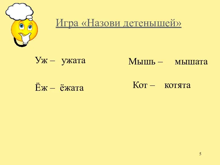 Игра «Назови детенышей» Уж – Ёж – ужата котята мышата Кот – Мышь – ёжата