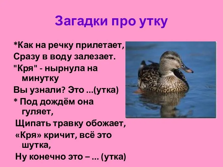 Загадки про утку *Как на речку прилетает, Сразу в воду залезает. "Кря" -