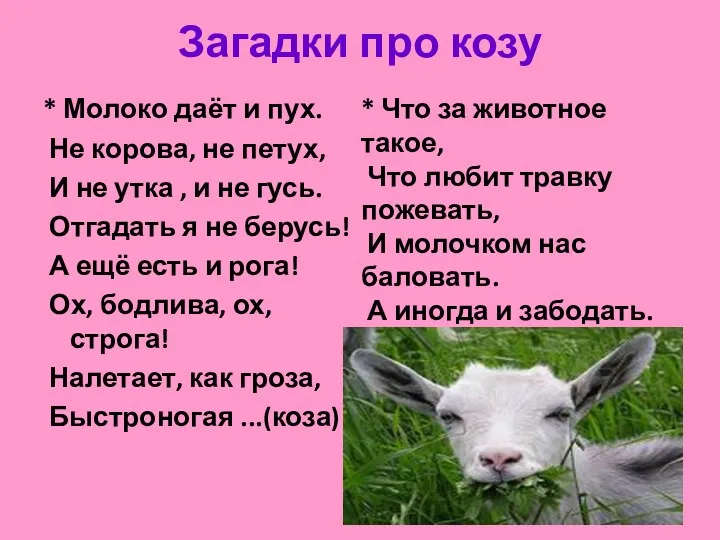 Загадки про козу * Молоко даёт и пух. Не корова, не петух, И