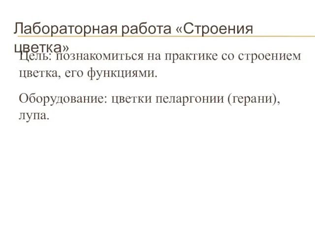 Лабораторная работа «Строения цветка» Цель: познакомиться на практике со строением