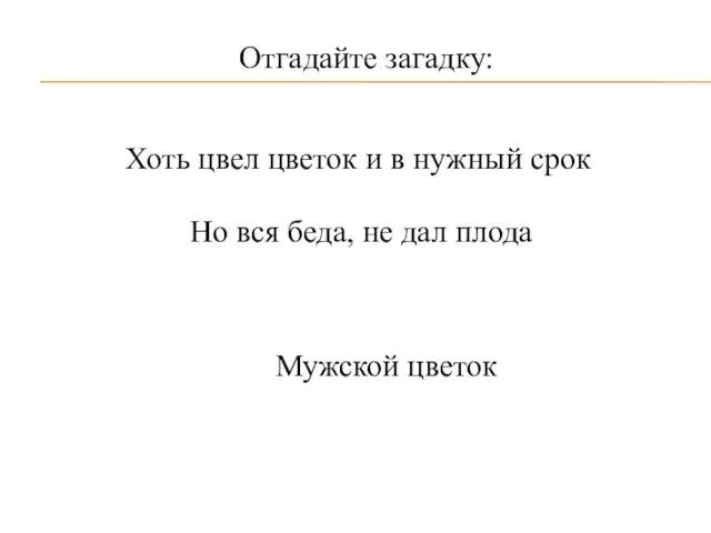 Отгадайте загадку: Хоть цвел цветок и в нужный срок Но