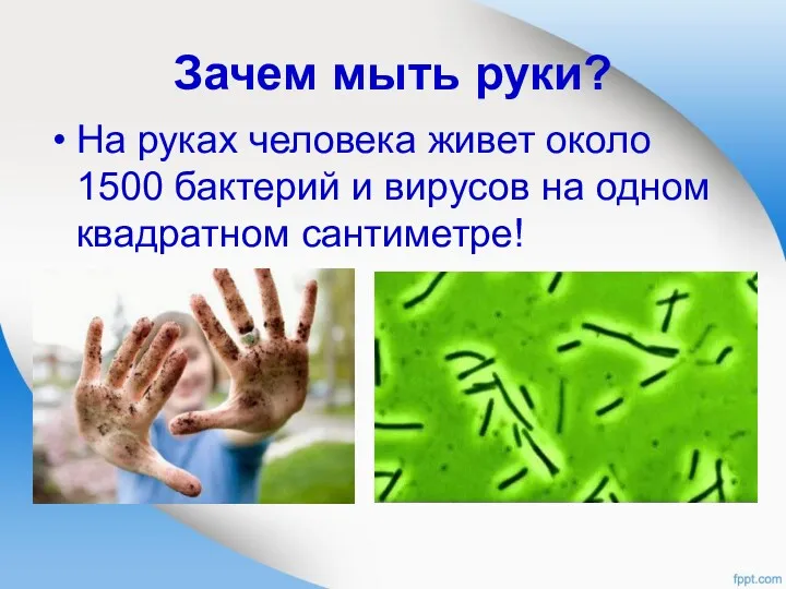 Зачем мыть руки? На руках человека живет около 1500 бактерий и вирусов на одном квадратном сантиметре!