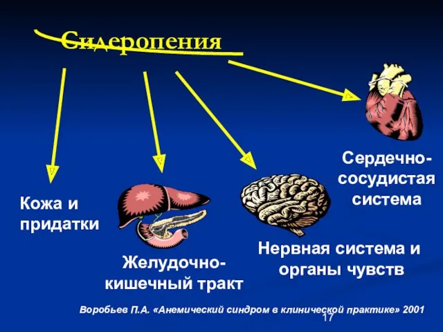 Сидеропения Кожа и придатки Желудочно- кишечный тракт Нервная система и