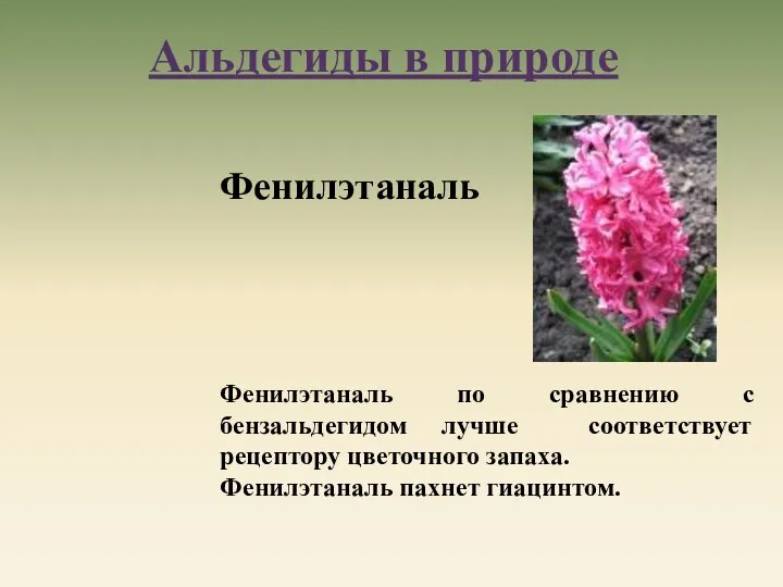 Фенилэтаналь Фенилэтаналь по сравнению с бензальдегидом лучше соответствует рецептору цветочного