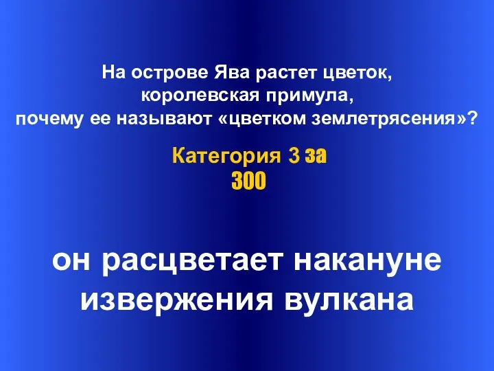 На острове Ява растет цветок, королевская примула, почему ее называют