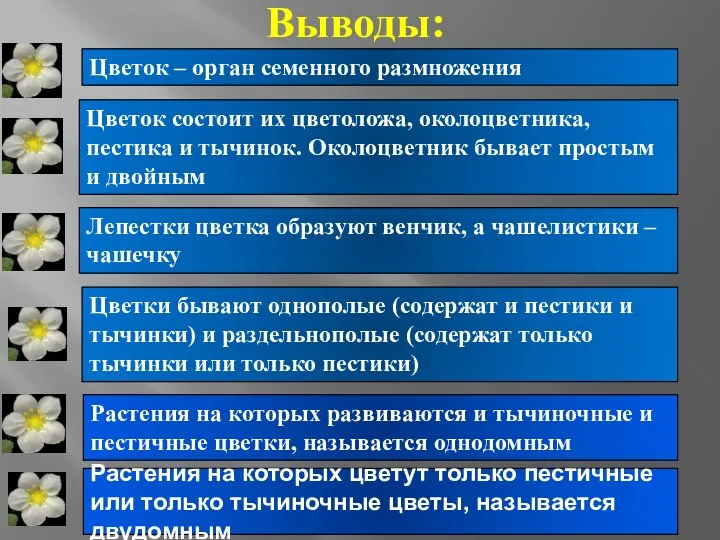 Растения на которых цветут только пестичные или только тычиночные цветы,